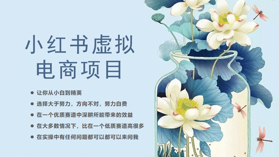 小红书虚拟电商从0到1，让你从小白到精英（20节实操课程）-创想网