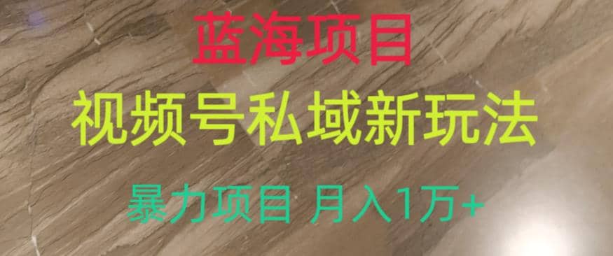 蓝海项目，视频号私域新玩法，暴力项目月入1万 【揭秘】-创想网