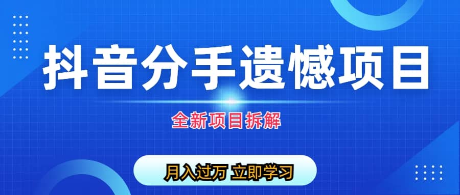 自媒体抖音分手遗憾项目私域项目拆解-创想网