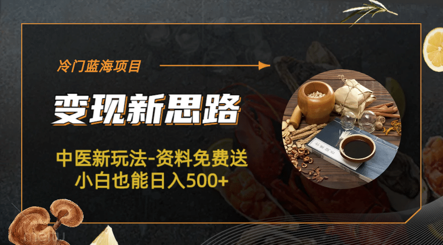 冷门蓝海项目-中医新玩法-冷门蓝海项目-中医新玩法-资料免费送小白也能日入500 500-创想网