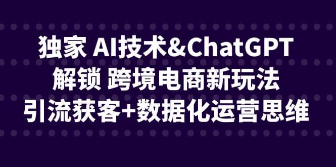 独家 AI技术ChatGPT解锁 跨境电商新玩法，引流获客 数据化运营思维-创想网