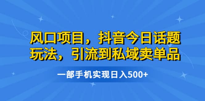 风口项目，抖音今日话题玩法，引流到私域卖单品，一部手机实现日入500-创想网