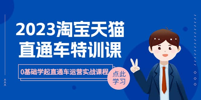 2023淘宝·天猫直通车评特训课，0基础学起直通车运营实战课程（8节课时）-创想网
