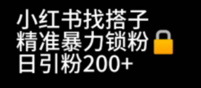 小红书找搭子暴力精准锁粉 引流日引200 精准粉-创想网