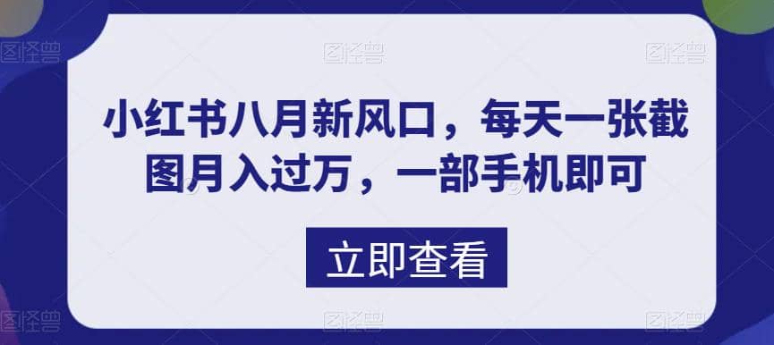 八月新风口，小红书虚拟项目一天收入1000 ，实战揭秘-创想网