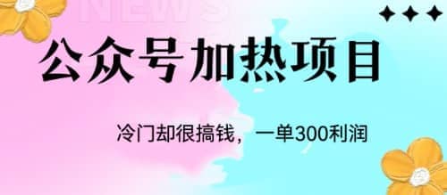冷门公众号加热项目，一单利润300-创想网