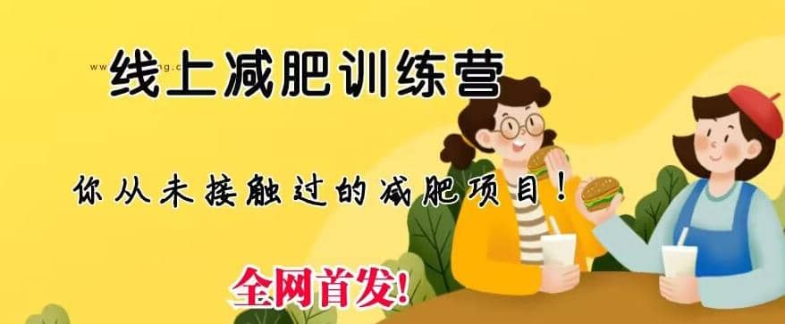 线上减肥训练营，足不出户，仅靠拉几个社群，发几条朋友圈，就可以月实现入五位【揭秘】-创想网