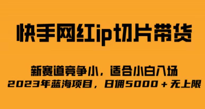 快手网红ip切片新赛道，竞争小事，适合小白 2023蓝海项目-创想网
