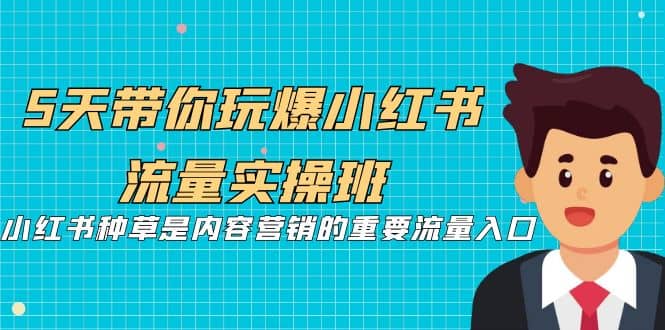 5天带你玩爆小红书流量实操班，小红书种草是内容营销的重要流量入口-创想网