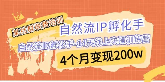 某社群收费培训：自然流IP 孵化手-14天线上实操训练营 4个月变现200w-创想网
