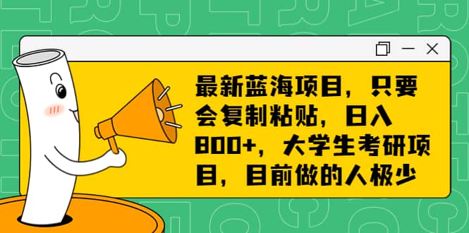 最新蓝海项目，只要会复制粘贴，日入800 ，大学生考研项目，目前做的人极少-创想网