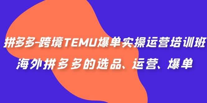 拼多多-跨境TEMU爆单实操运营培训班，海外拼多多的选品、运营、爆单-创想网