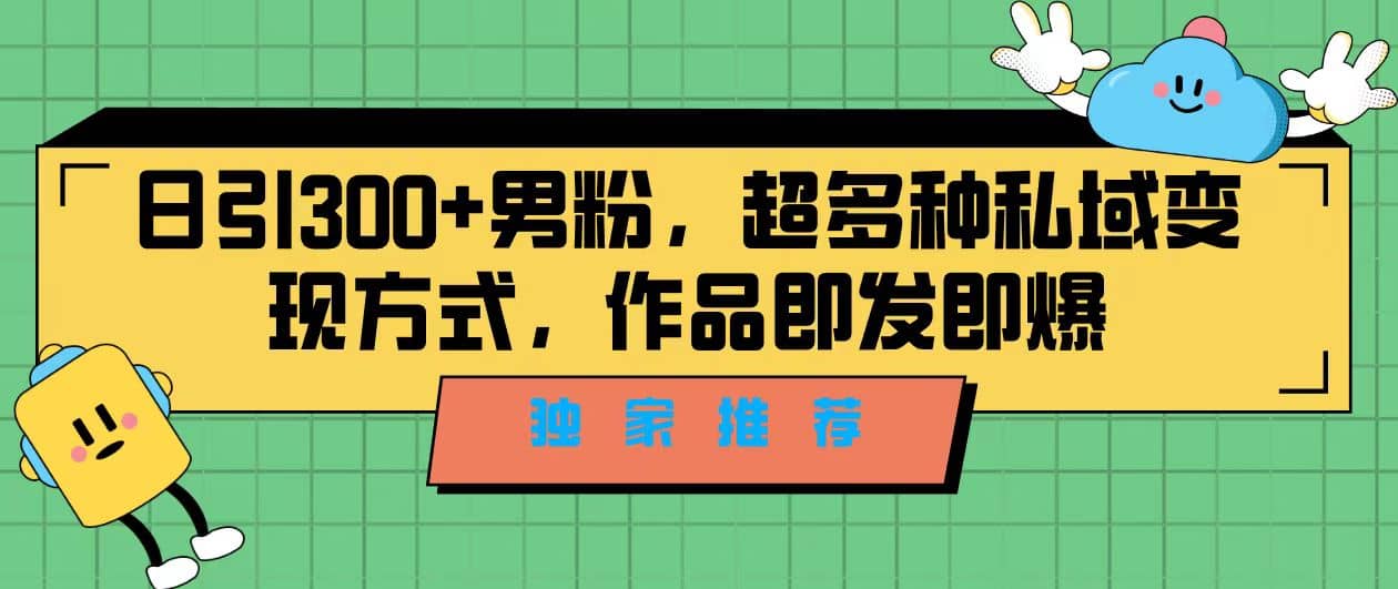 独家推荐！日引300 男粉，超多种私域变现方式，作品即发即报-创想网