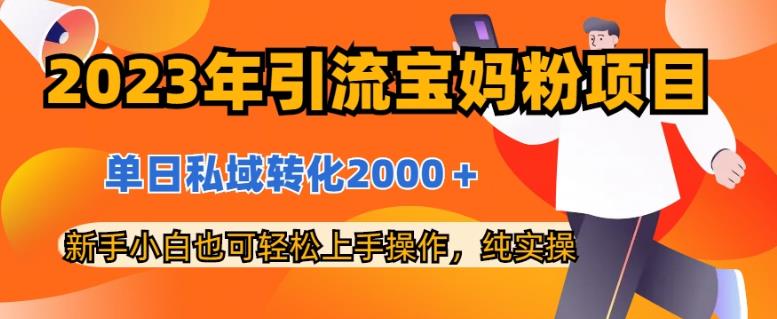 2023年引流宝妈粉项目，单日私域转化2000＋，新手小白也可轻松上手操作，纯实操-创想网
