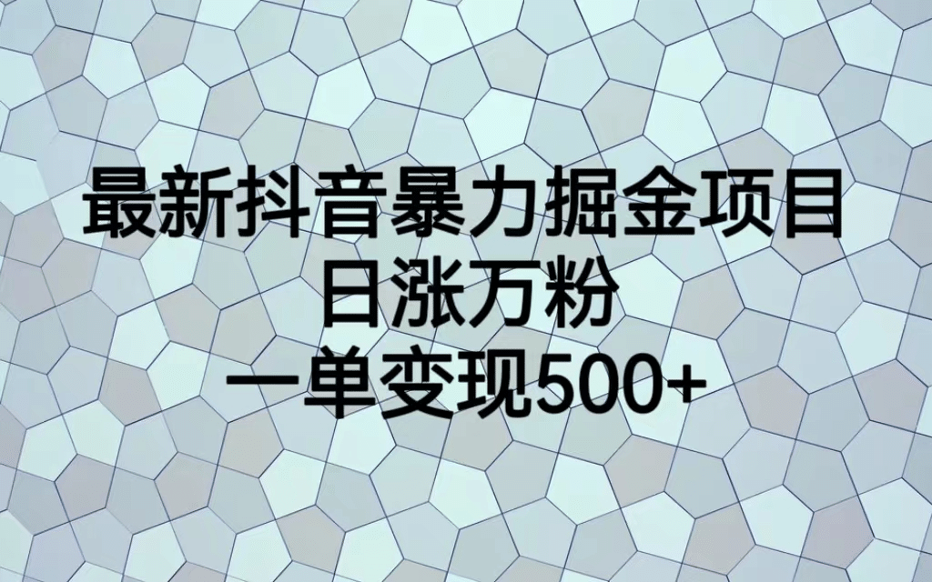 最火热的抖音暴力掘金项目，日涨万粉，多种变现方式，一单变现可达500-创想网