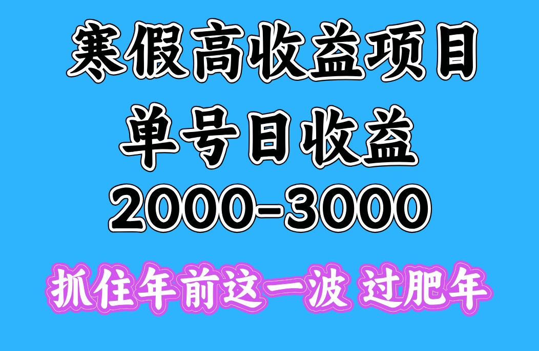 寒假期间一天收益2000-3000+，抓住年前这一波-创想网