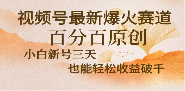 视频号独家玩法，老年养生赛道，无脑搬运爆款视频，日入2000+-创想网