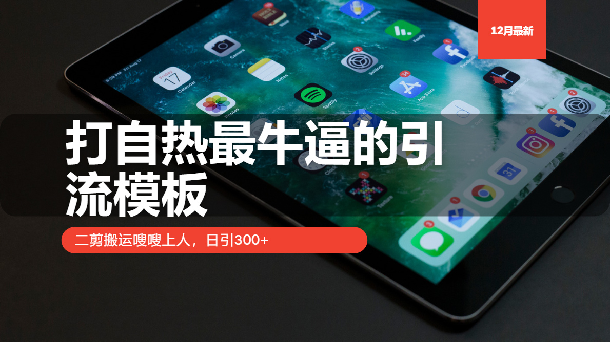 打自热最牛逼的引流模板，日引300+，二剪搬运嗖嗖上人-创想网