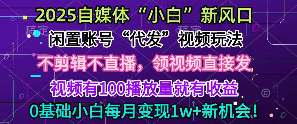 2025每月躺赚5w+新机会，闲置视频账号一键代发玩法，0粉不实名不剪辑，领了视频直接发，0基础小白也能日入300+-创想网
