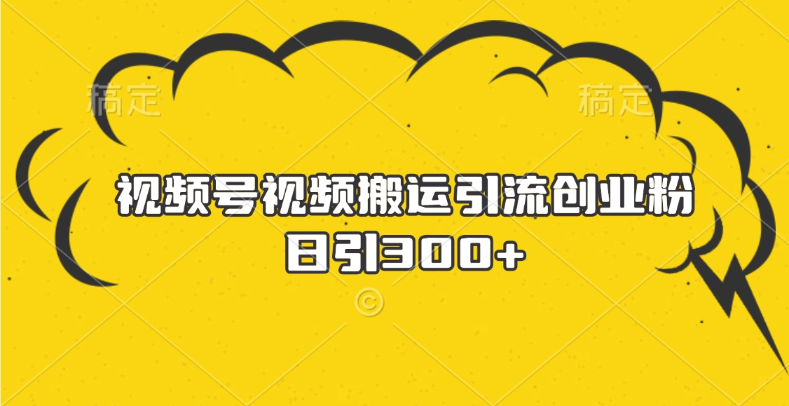 视频号视频搬运引流创业粉，日引300+-创想网