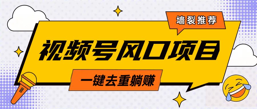 视频号风口蓝海项目，中老年人的流量密码，简单无脑，一键去重，轻松月入过万-创想网