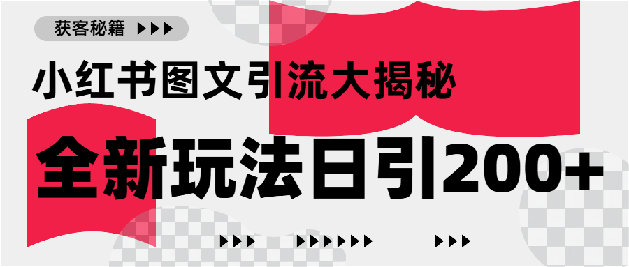 小红书图文引流，只需一张图片即可撬动百万流量，日引200+创业粉-创想网