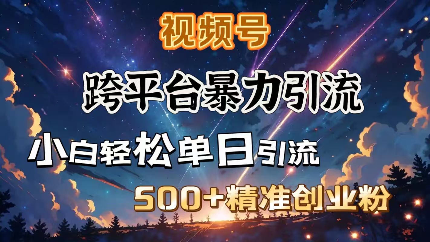 视频号跨平台暴力引流，小白轻松单日引流500＋精准创业粉-创想网