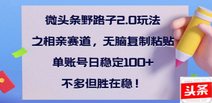 全网首发微头条野路子2.0玩法之相亲赛道，无脑搬砖复制粘贴，单账号日稳定300+保姆级教程-创想网