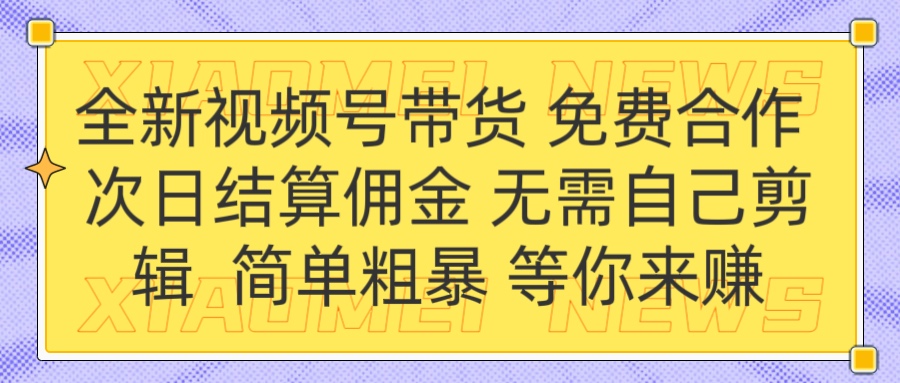 全新视频号 免费合作 佣金次日结算 无需自己剪辑-创想网
