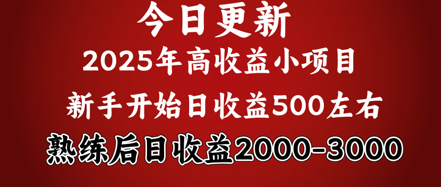 2025开年好项目，新手日收益500+ 熟练掌握后，日收益平均2000多-创想网