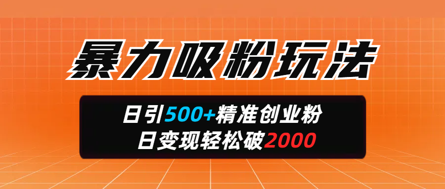 暴力吸粉玩法，日引500+精准创业粉，日变现轻松破2000-创想网