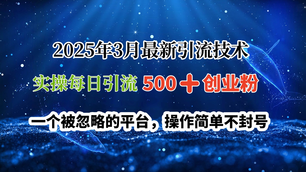 2025年3月最新引流技术，实操每日引流500➕创业粉，一个被忽略的平台，操作简单不封号-创想网