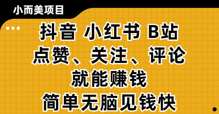 小而美的项目，抖音、小红书、B站视频点赞、关注、评论就能赚钱，简单无脑立见收益！妥妥的零撸项目-创想网