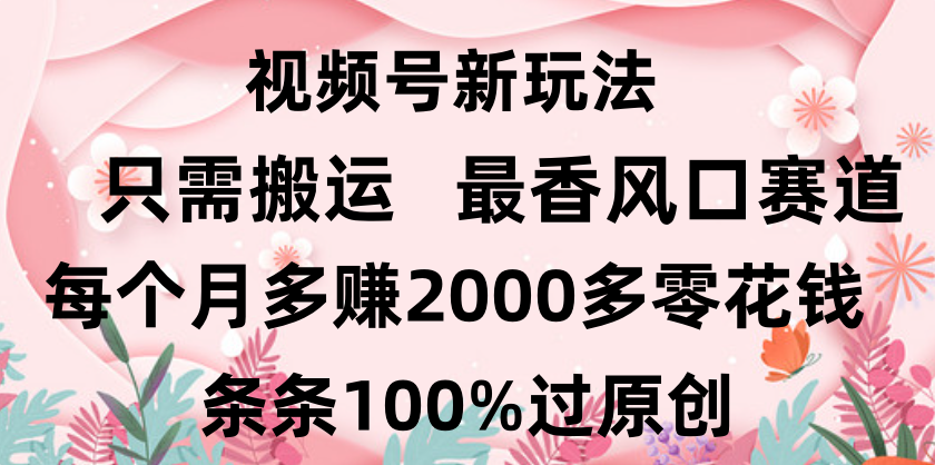 日入2000+，条条100%过原创，视频号最香风口赛道，小白轻松上手-创想网