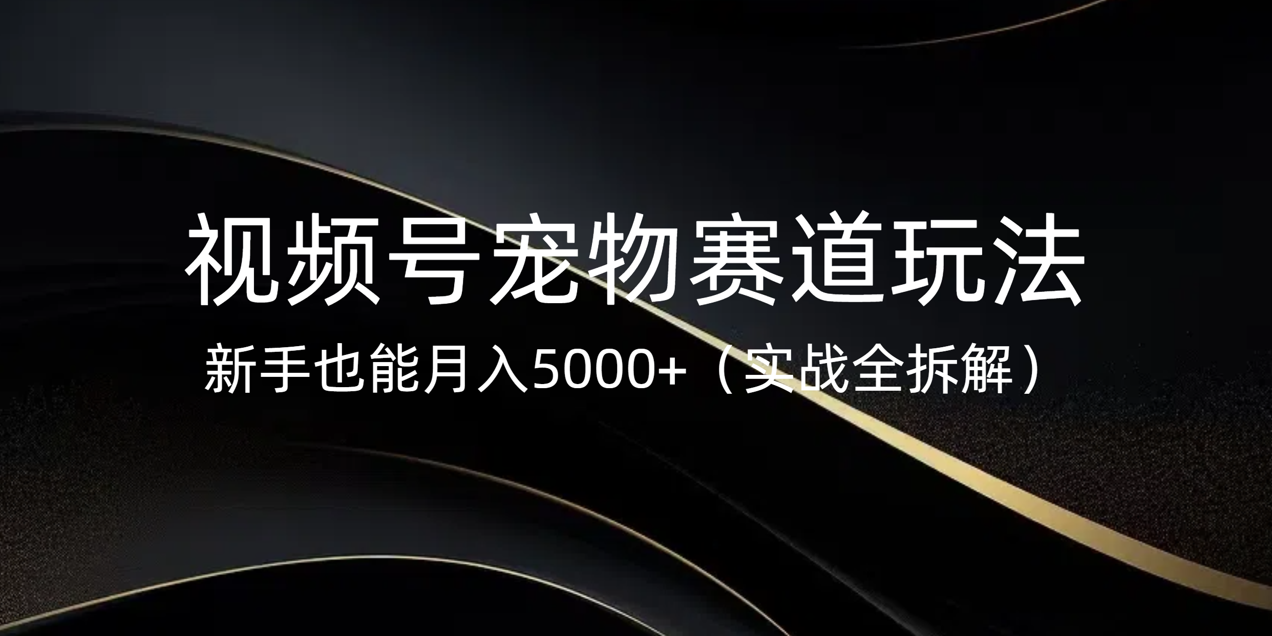 视频号宠物赛道玩法，新手也能月入5000+（实战全拆解）-创想网