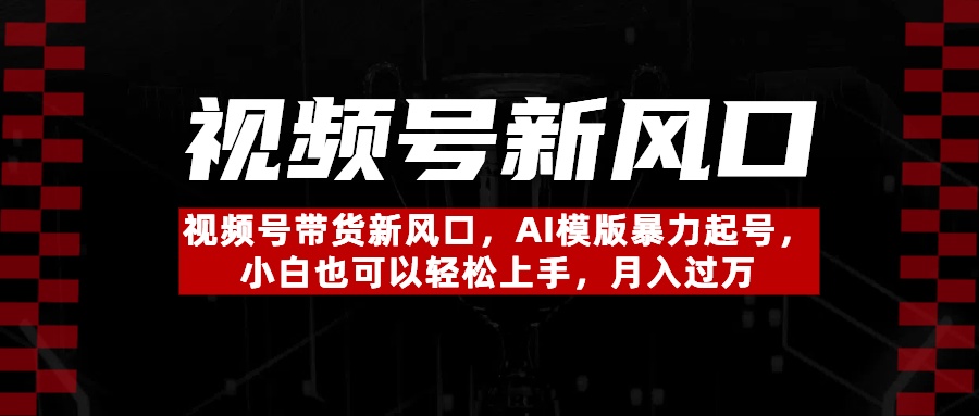 视频号带货新风口，AI模版暴力起号，小白也可以轻松上手，月入过万-创想网