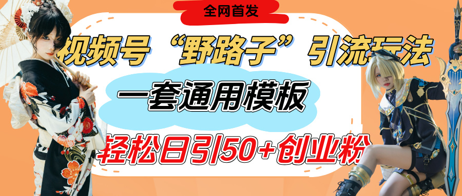视频号“野路子”玩法，评论区疯狂截流，一套模板单日单号引流50+创业粉-创想网