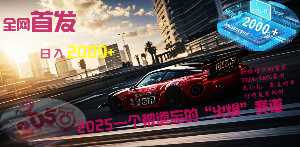 全网首发：2025一个被遗忘的“火爆”赛道轻松日入2000+-创想网