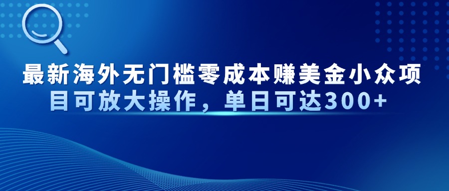 最新海外无门槛美金小众项目可放大操作，单日可达300+-创想网