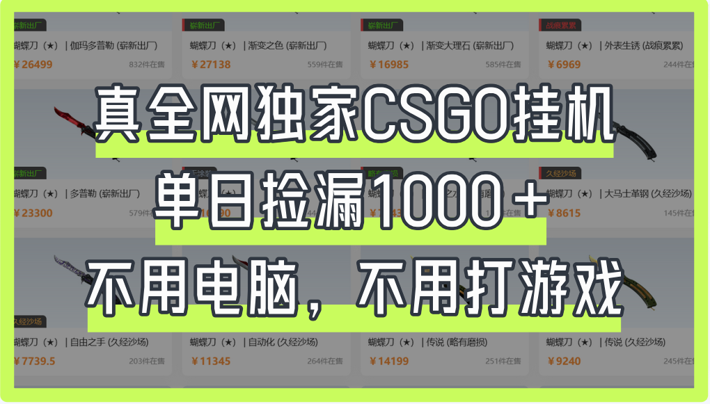 真全网独家CSGO挂机，单日捡漏1000+-创想网