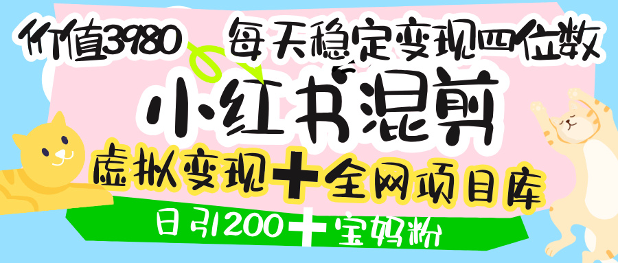价值3980的小红书混剪， 虚拟变现 ＋全网项目库 ， 日引200+宝妈创业粉，每天稳定四位数变现-创想网