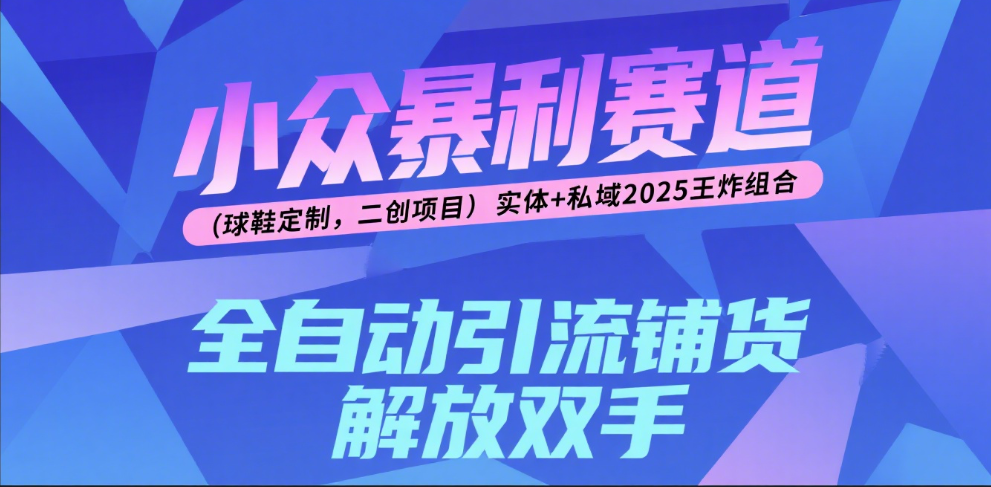 楠—小众暴利赛道（球鞋定制，二创项目）实体+私域2025王炸组合-创想网
