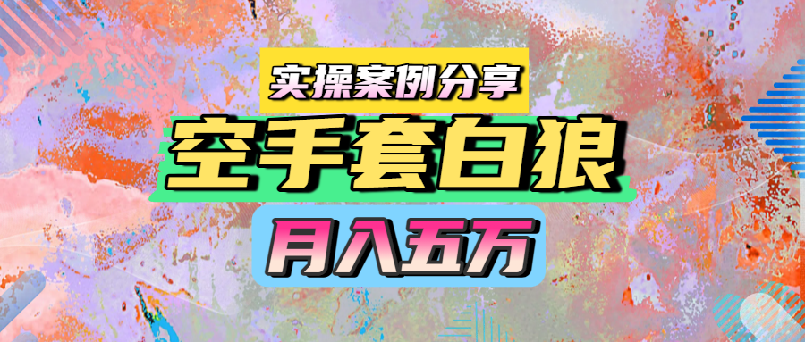 空手套白狼，月入五万，实操案例分享-创想网
