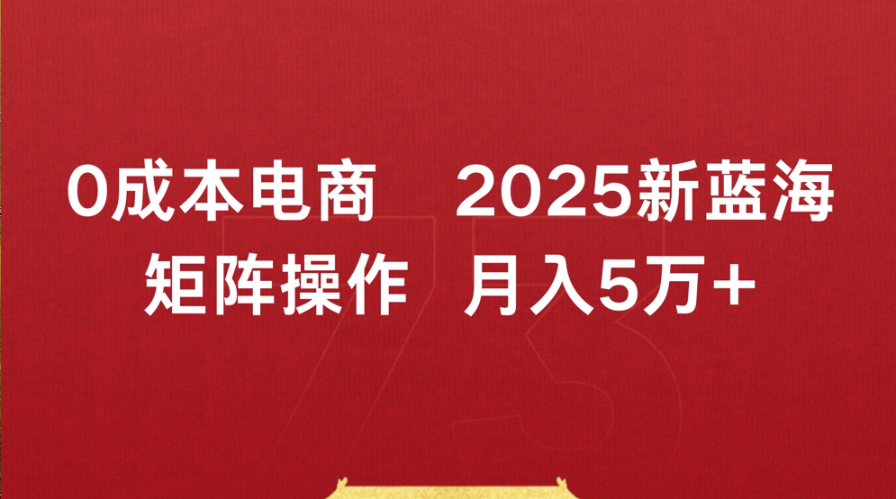 0成本电商2025新蓝海矩阵操作 月入5万+-创想网
