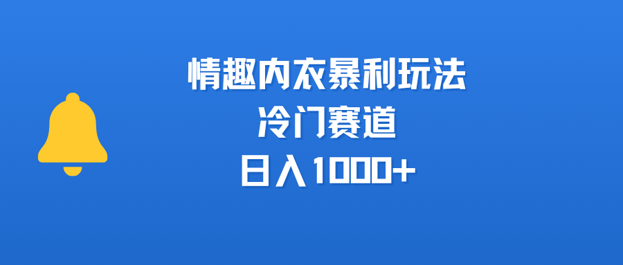 情趣内衣暴利玩法，冷门赛道，日入1000+-创想网