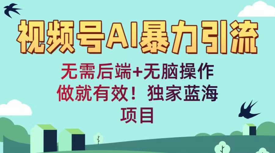 视频号AI暴力引流：无需后端+无脑操作，做就有效！独家蓝海项目-创想网