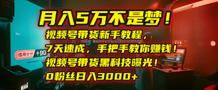 月入5万不是梦！视频号带货新手教程，7天速成，手把手教你赚钱！视频号带货黑科技曝光！0粉丝日入3000+-创想网