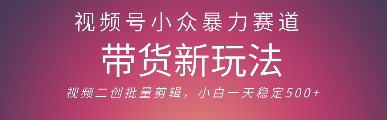 视频号小众暴力赛道，最新带货玩法 小白也能轻松日入500+ 保姆及教程-创想网