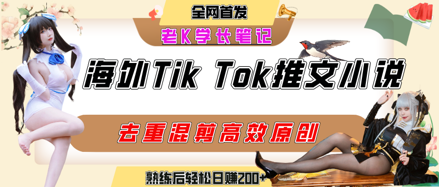 海外tiktok小说推文暴力项目，高停留率，高转化率，上手后一天搞顿饭钱不是问题-创想网
