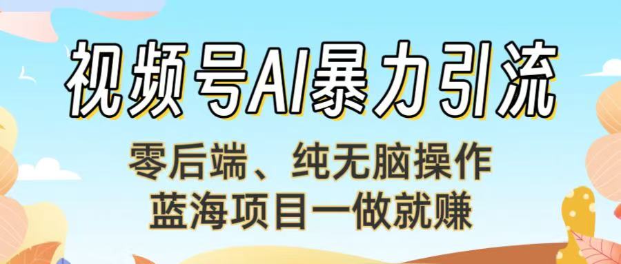 视频号AI暴力引流：零后端、纯无脑操作，蓝海项目一做就赚！【下面那个链接失效了】-创想网